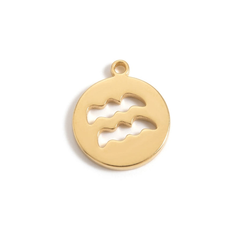 Zodiac Sign Charms
