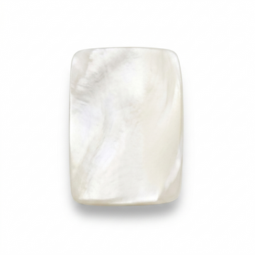 Shell Peace Plaque